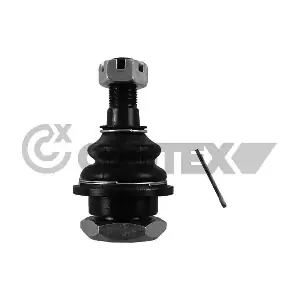 755080 CAUTEX