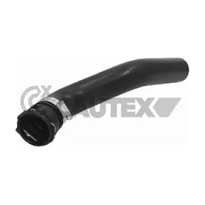 775815 CAUTEX