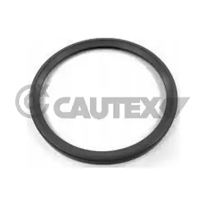773547 CAUTEX