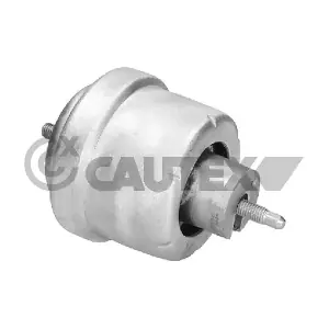 480495 CAUTEX