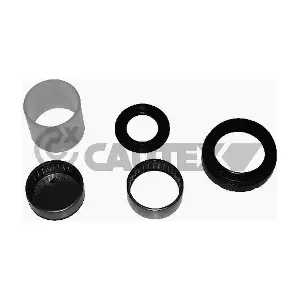 031437 CAUTEX