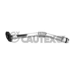 776255 CAUTEX