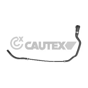 754368 CAUTEX