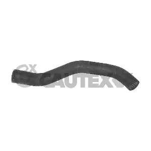 036396 CAUTEX