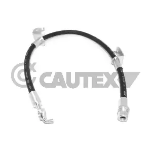 756106 CAUTEX