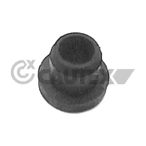 010543 CAUTEX