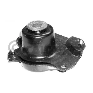 461038 CAUTEX