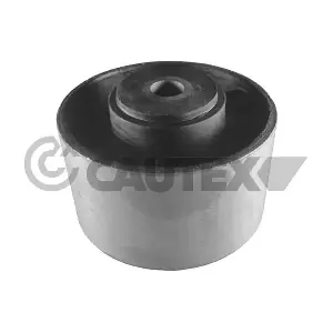 CAUTEX 030212