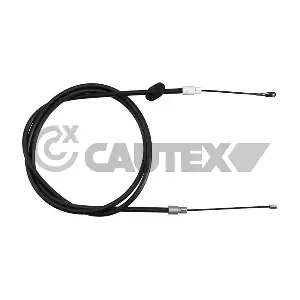 81013 CAUTEX