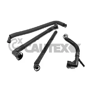206039 CAUTEX