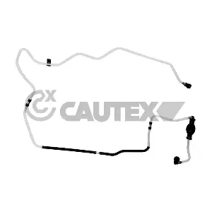 770383 CAUTEX