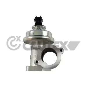 770045 CAUTEX