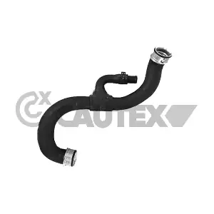 770810 CAUTEX