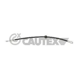 777958 CAUTEX
