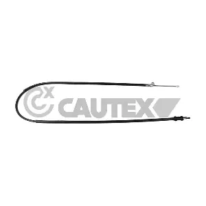 069087 CAUTEX
