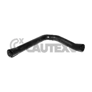 216022 CAUTEX