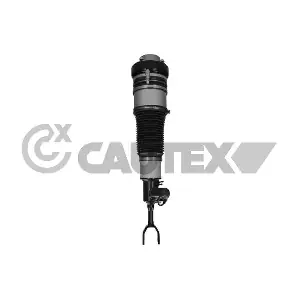 752167 CAUTEX