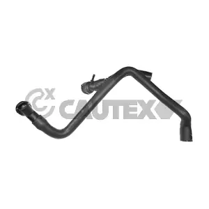 753636 CAUTEX