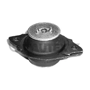 CAUTEX 010874