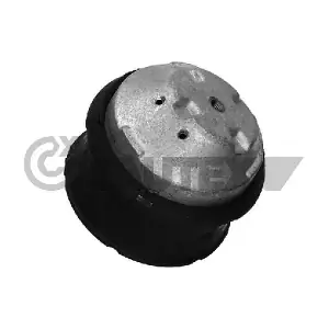 CAUTEX 755971