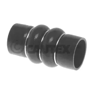086775 CAUTEX