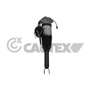 752015 CAUTEX