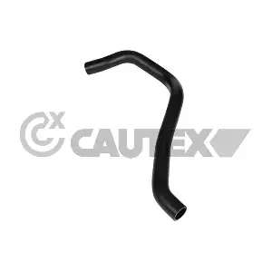 754234 CAUTEX
