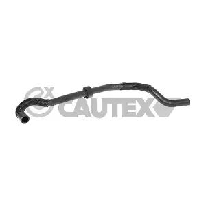 772031 CAUTEX