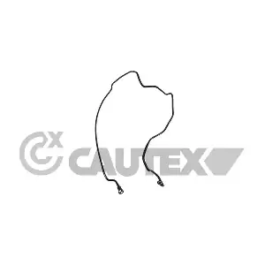775582 CAUTEX