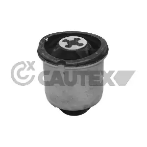 021335 CAUTEX