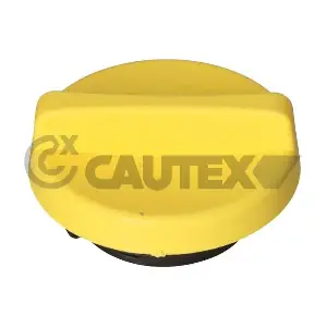 481066 CAUTEX