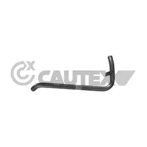 955079 CAUTEX