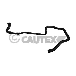 753963 CAUTEX