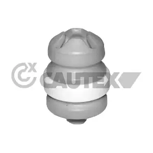 769668 CAUTEX