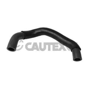CAUTEX 765051 Шланг, продування кришки голівки циліндра