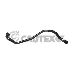 754396 CAUTEX