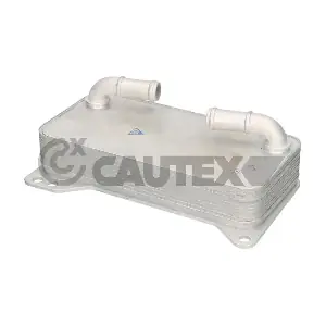 776857 CAUTEX