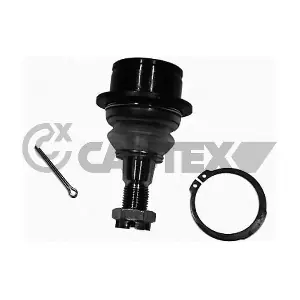 755045 CAUTEX
