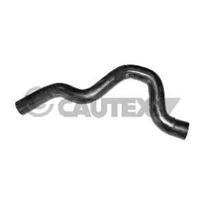 754126 CAUTEX