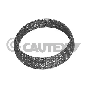 954201 CAUTEX