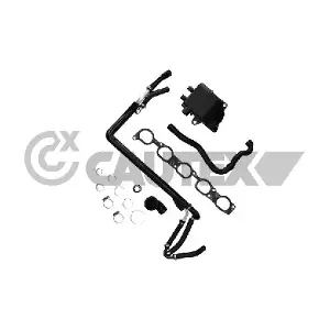760563 CAUTEX