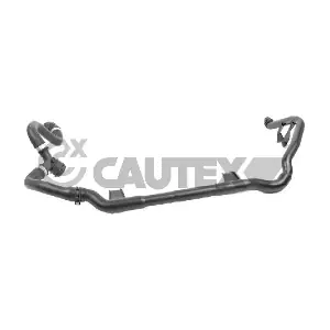 771786 CAUTEX