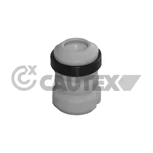 031153 CAUTEX