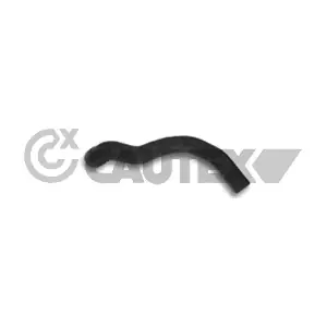 186053 CAUTEX