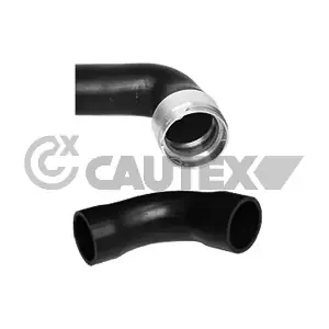 753088 CAUTEX