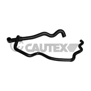 753421 CAUTEX