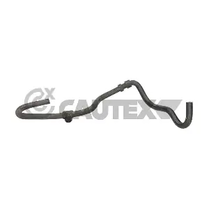 776820 CAUTEX