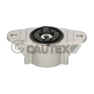 CAUTEX 081079