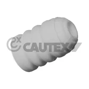 460913 CAUTEX