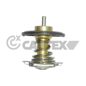 772529 CAUTEX